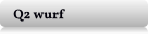 Q2 wurf